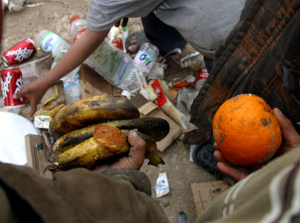 Rotten Fruit Rotten Fruit